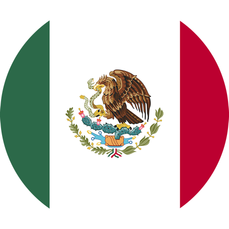 Mexico Flag